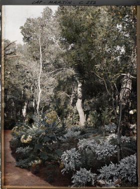 Image représentant Cap-Martin - Le Jardin