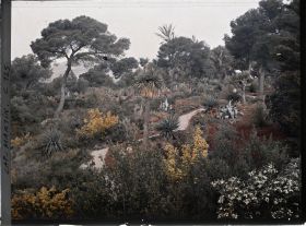 Image représentant Le jardin