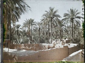 Image représentant Vue de l'oasis