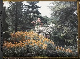 Image représentant Massif fleuri du " sanctuaire japonais " situé entre le " village japonais " et le sorinto