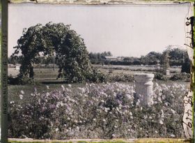Image représentant Le jardin du ministère des Affaires étrangères (Palais de Stôr)