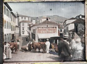 Image représentant Scène de rue avec traîneau à quatre places tiré par des bœufs