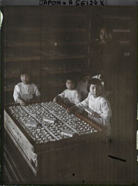 Image représentant Préparation des cartons de papillons pour la ponte