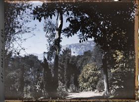 Image représentant Une allée du jardin