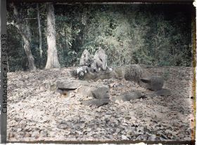 Image représentant Statue d'éléphant assis