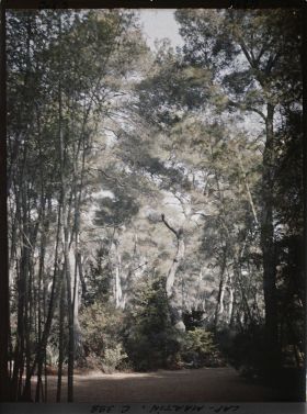 Image représentant Cap Martin Le Jardin