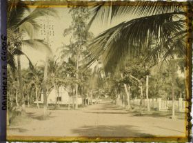 Image représentant Intersection d'avenues dans le quartier européen, présence de ligne télégraphique suspendue aux arbres