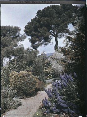 Image représentant Allée bordée de massifs fleuris et pelouse, vue en direction de Monaco