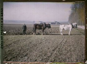 Image représentant France, Claye, La ferme de gros bois, commune de Claye : le labourage à cheval