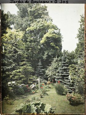 Image représentant Buissons fleuris d'azalées et de rhododendrons longeant un chemin exigu du marais