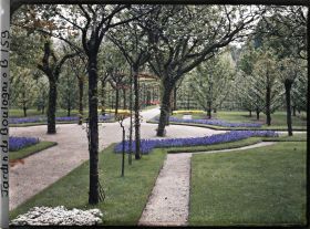 Image représentant Partie du verger-roseraie autour du rond-point proche de la dépendance, vue en direction de l'est