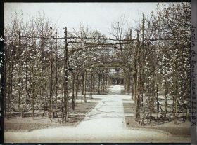 Image représentant Axe central du verger-roseraie vu en direction de la dépendance, à la limite du jardin français