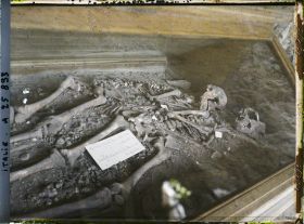 Image représentant Squelettes trouvés grotte Barma Grande