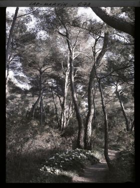 Image représentant Le jardin