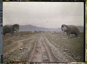 Image représentant Ming Shisanling (" Treize Tombeaux des Ming ")