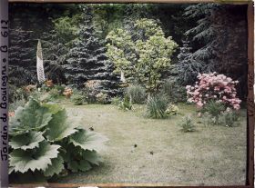 Image représentant Le marais et la forêt bleue