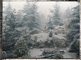 Image représentant Paysage arboré du " sanctuaire japonais " couvert de givre et sôrintô voilé par la brume