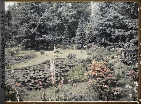 Image représentant Les étangs du marais