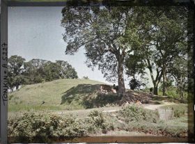 Image représentant Un pâturage dans la campagne annamite