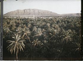 Image représentant Le soir, vue sur la palmeraie de Zenaga