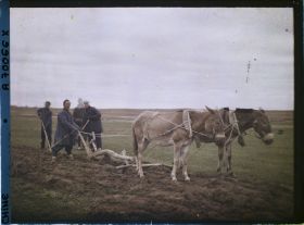 Image représentant Dans les champs