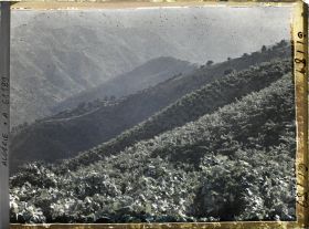 Image représentant Vignobles à flanc de montagne