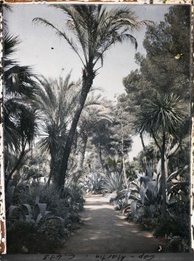 Image représentant Cap Martin Le Jardin