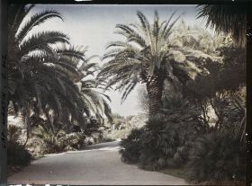 Image représentant Cap Martin Le Jardin