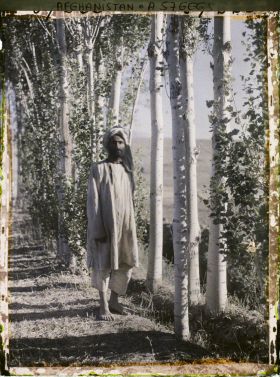 Image représentant Paysage de la région