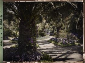 Image représentant L'Achilleion - Les Jardins