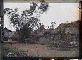 Image représentant Une ferme au bord d'une mare où pousse le liseron d'eau