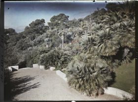 Image représentant Partie ouest de la terrasse inférieure de la villa Kahn, dite villa Zamir, ouverte sur le jardin
