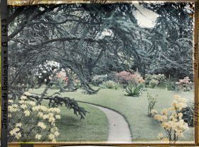 Image représentant Branches de cèdre surplombant le chemin qui mène à l'ouest du marais, fleuri d'arbustes colorés