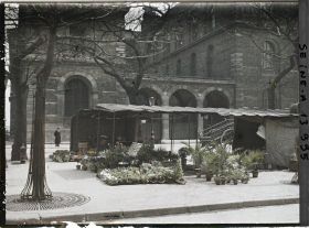 Image représentant Le marché aux fleurs sur l'île de la Cité, place Louis-Lépine. Derrière, l'hôtel-Dieu au 3 rue de la Cité