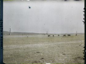 Image représentant Canada, Foot Hills Turner Valley, 50 Milles de Calgary, Turner Valley - La plaine avec Chevaux au paturage et 5 puits en forage