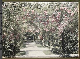 Image représentant Axe central du verger-roseraie vu à mi-parcours, en direction de la dépendance