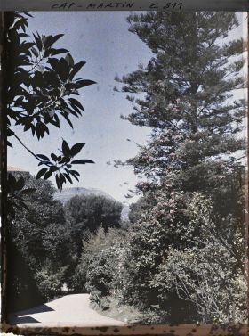 Image représentant Une allée du jardin près de la villa