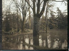 Image représentant la grande pelouse inondée