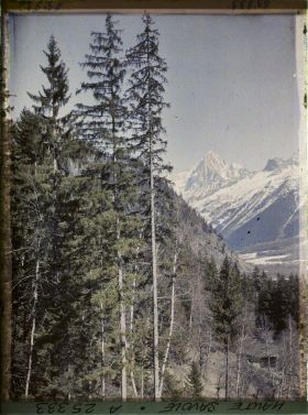 Image représentant France Les Alpes, Vallée de Chamonix, Paysage vers l' Aiguille Verte