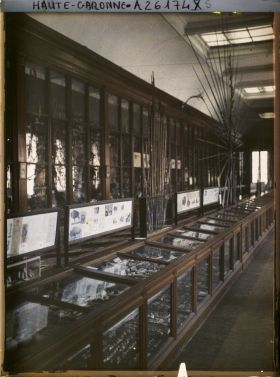 Image représentant France, Toulouse, Musée : La salle du Musée Préhistorique