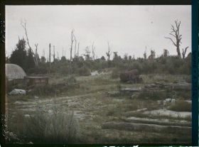 Image représentant France