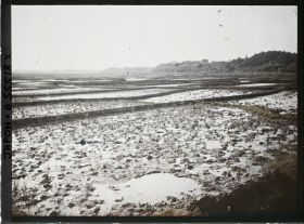 Image représentant Rizière inondée