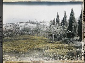 Image représentant La végétation aux abords du village