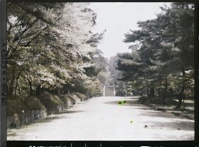 Image représentant Allée menant au deuxième torii (Ni-no-torii) de l'entrée du sanctuaire Hôkoku-jinja (Toyokuni-jinja)
