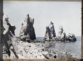 Image représentant Les aiguilles sur le rivage