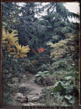 Image représentant Étroit chemin du " sanctuaire japonais " en provenance du sôrintô, longeant une coulée de verdure