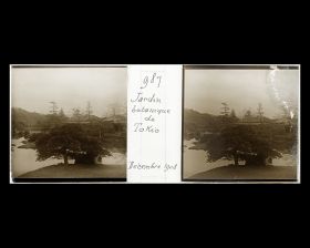 Image représentant Le jardin botanique de l'Université impériale de Tokyo