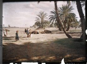 Image représentant Des nomades près d'une tente, à la lisière de l'oasis