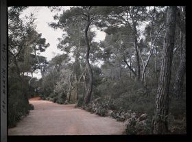 Image représentant Cap Martin - Le Jardin