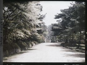 Image représentant Allée menant au deuxième torii (Ni-no-torii) de l'entrée du sanctuaire Hôkoku-jinja (Toyokuni-jinja)